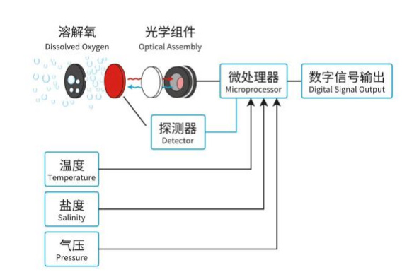 一體式熒光法溶氧傳感器工作原理